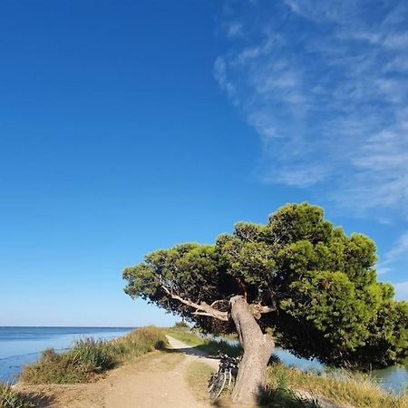 T2 Cosy A La Plage, Terrasse Vue Sur Mer Et Parking Privatif Narbona Exterior foto