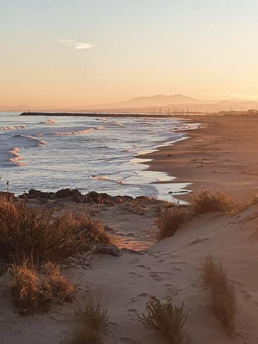 T2 Cosy A La Plage, Terrasse Vue Sur Mer Et Parking Privatif Narbona Exterior foto